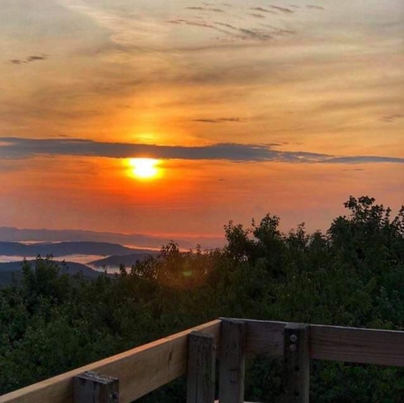 Meet your Posher, Joyce - Picture 1 of 1